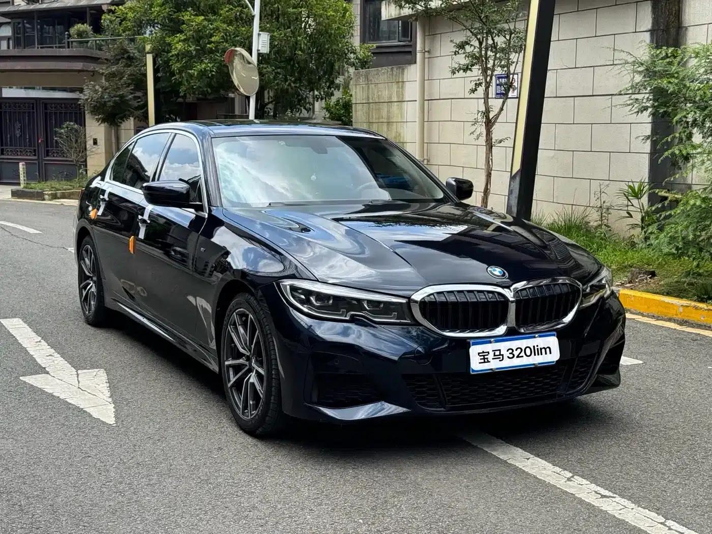 2020 BMW 3 Series 320Li M Sport Package — миниатюра 3