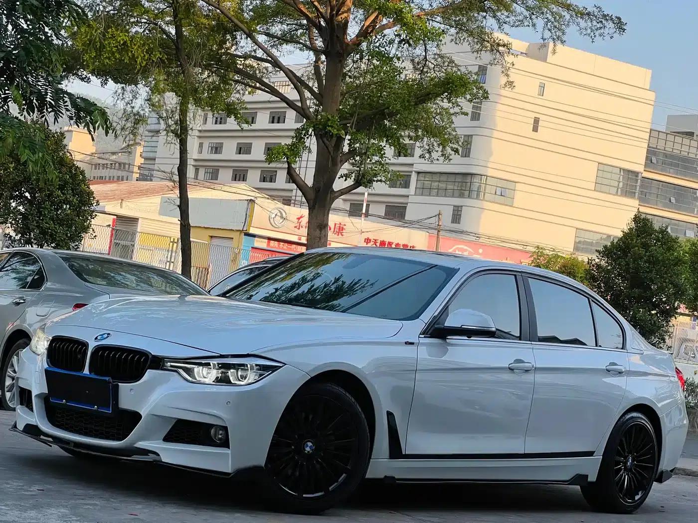 2019 BMW 3 Series 320Li M Sport Package — миниатюра 2