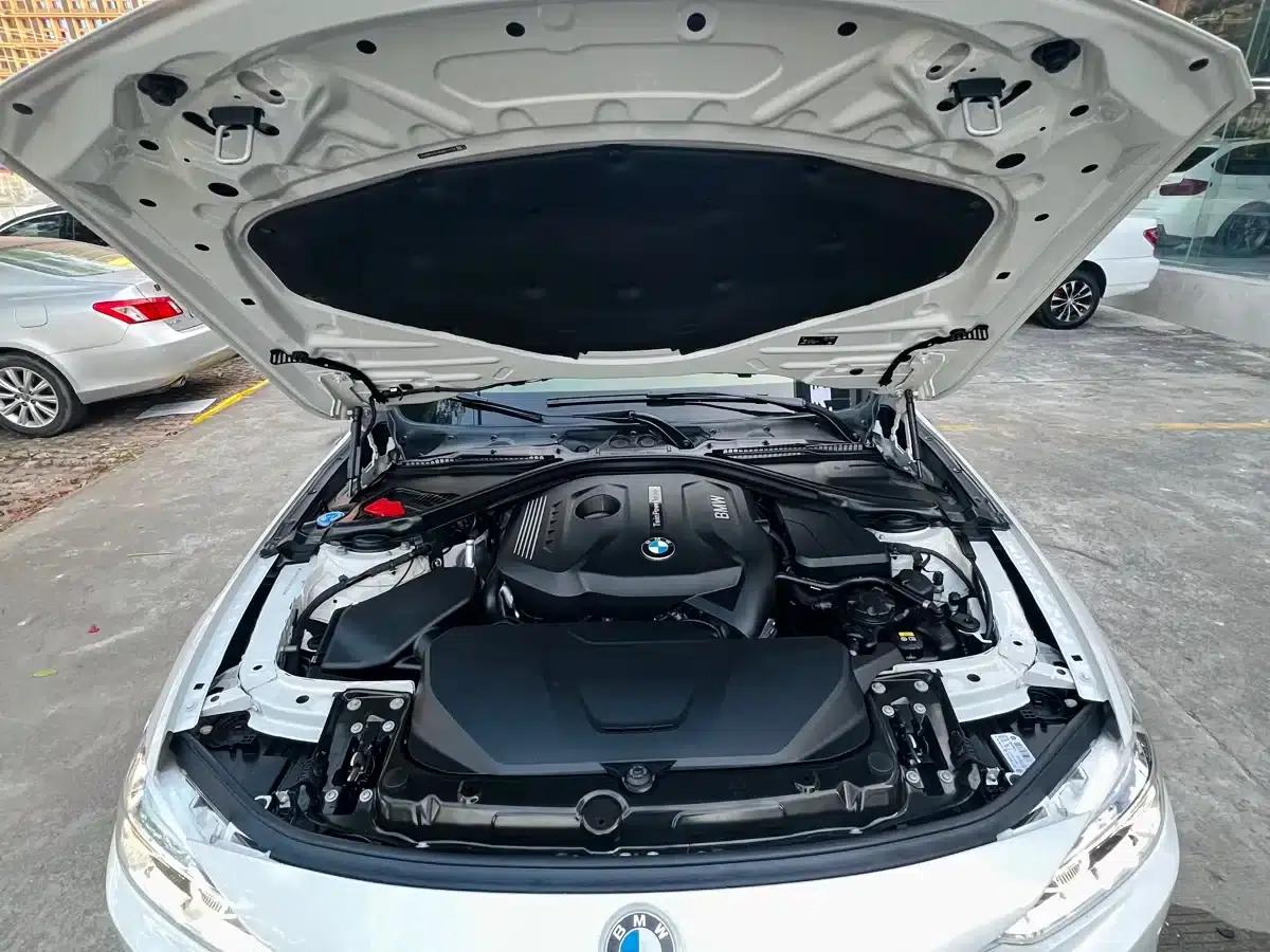 2019 BMW 3 Series 320Li M Sport Package — миниатюра 11
