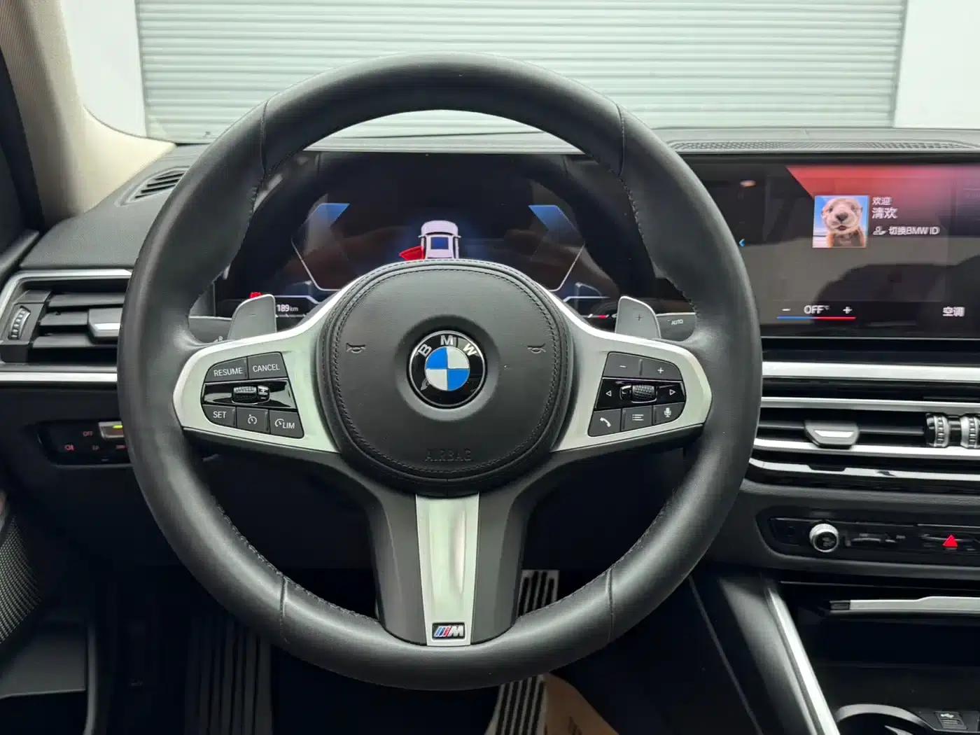 2022 BMW 3 Series 320Li M Sport Package — миниатюра 14