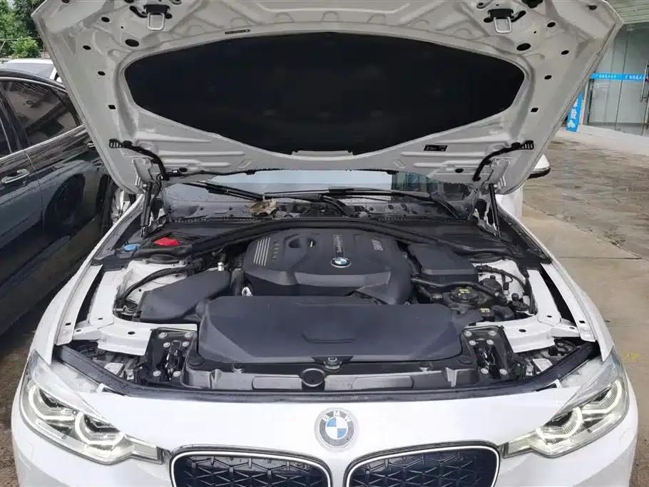 BMW 3 Series 2019 320Li xDrive Fashion Edition — миниатюра 10