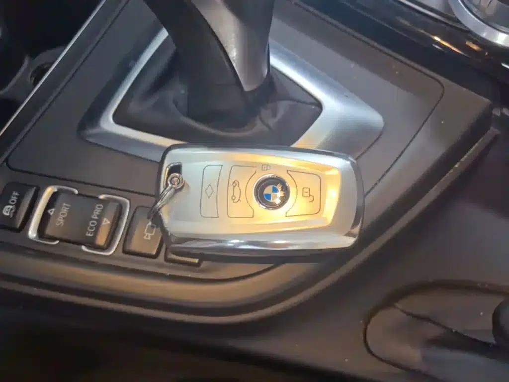 2018 BMW 3 Series 320Li M Sport Shadow Edition — миниатюра 9