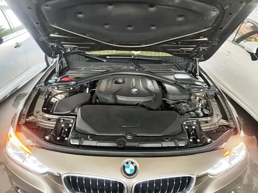 2018 BMW 3 Series 320Li Leading M Sport Package — миниатюра 20