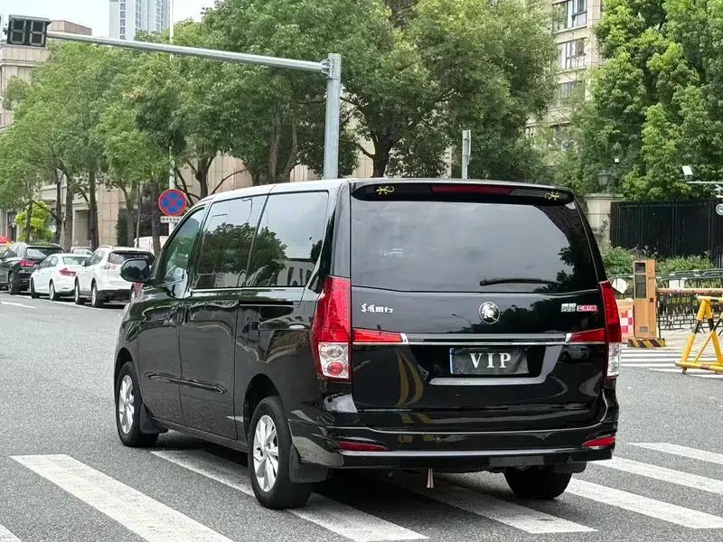 Lingzhi PLUS 2022 Touring Edition 2.0L Manual Deluxe 7-Seater — миниатюра 5