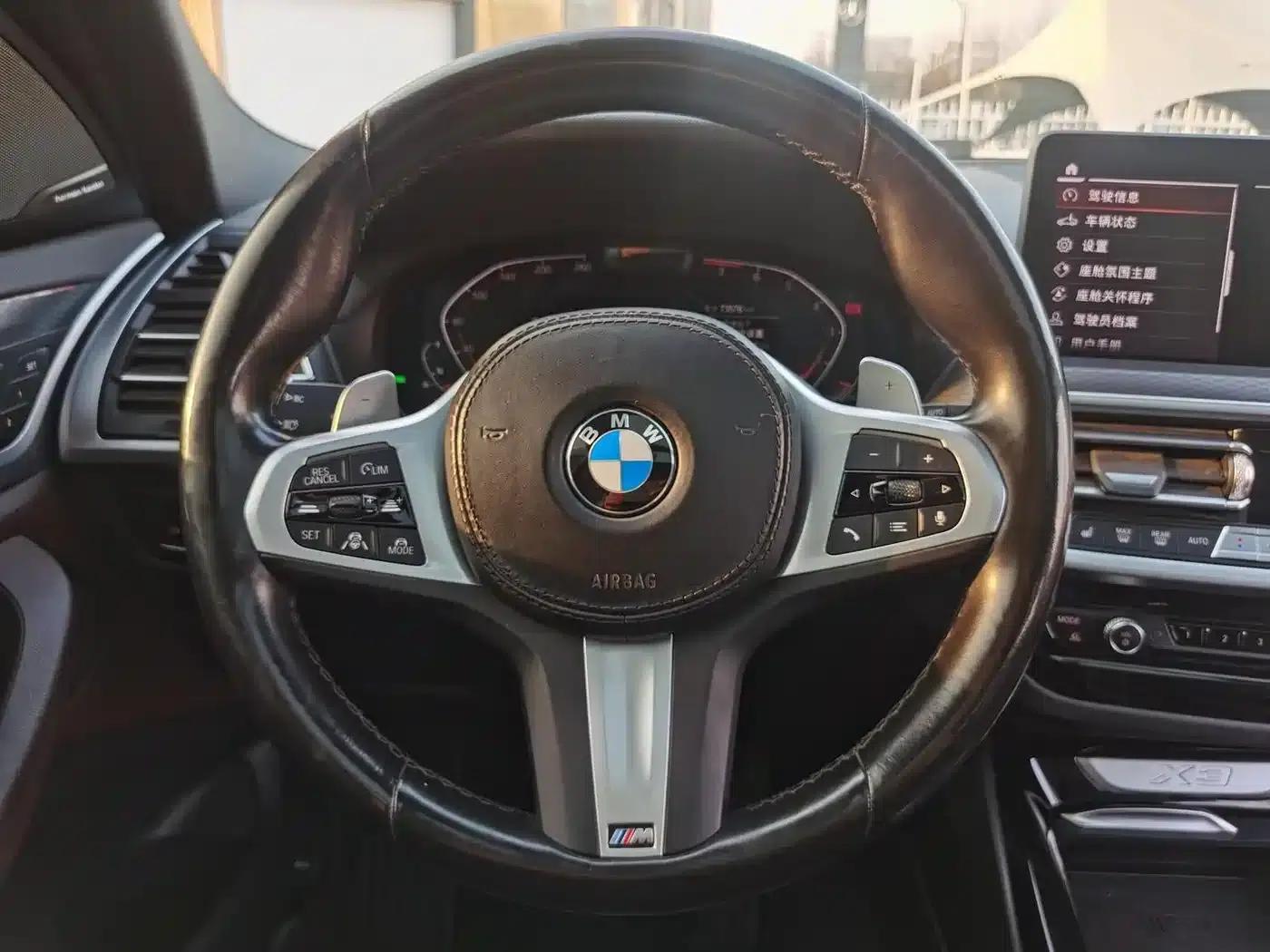 BMW X3 2022 xDrive30i Luxury M Sport Package — миниатюра 14