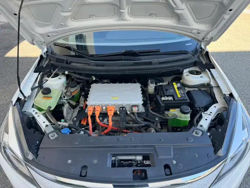 Dongfeng Fengshen E70 2020 500 Super Enjoy Edition — миниатюра 5