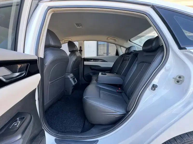 Dongfeng Fengshen E70 2020 500 Super Enjoy Edition — миниатюра 10