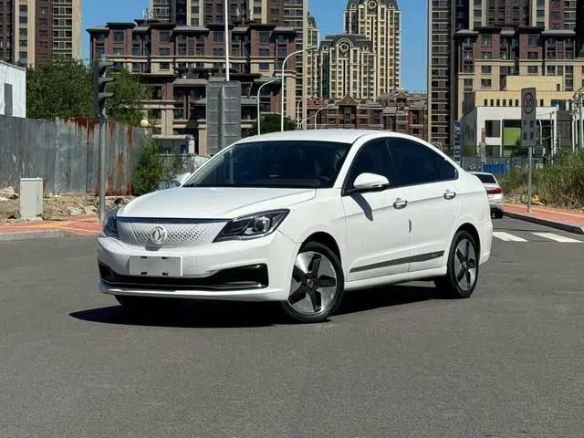 Dongfeng Fengshen E70 2020 500 Super Enjoy Edition