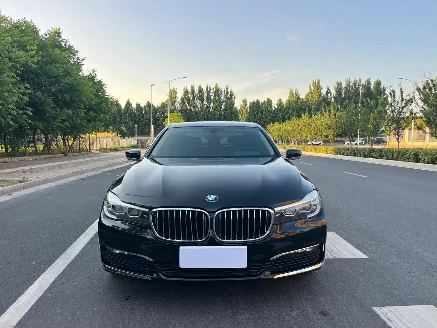 2017 BMW 7 Series 730Li Leading Edition — миниатюра 2