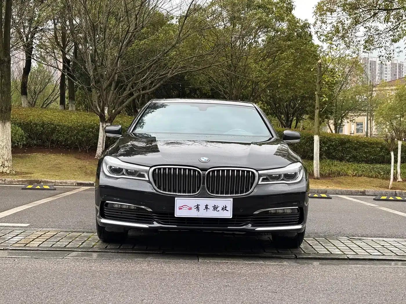 2016 BMW 7 Series 730Li Luxury — миниатюра 2