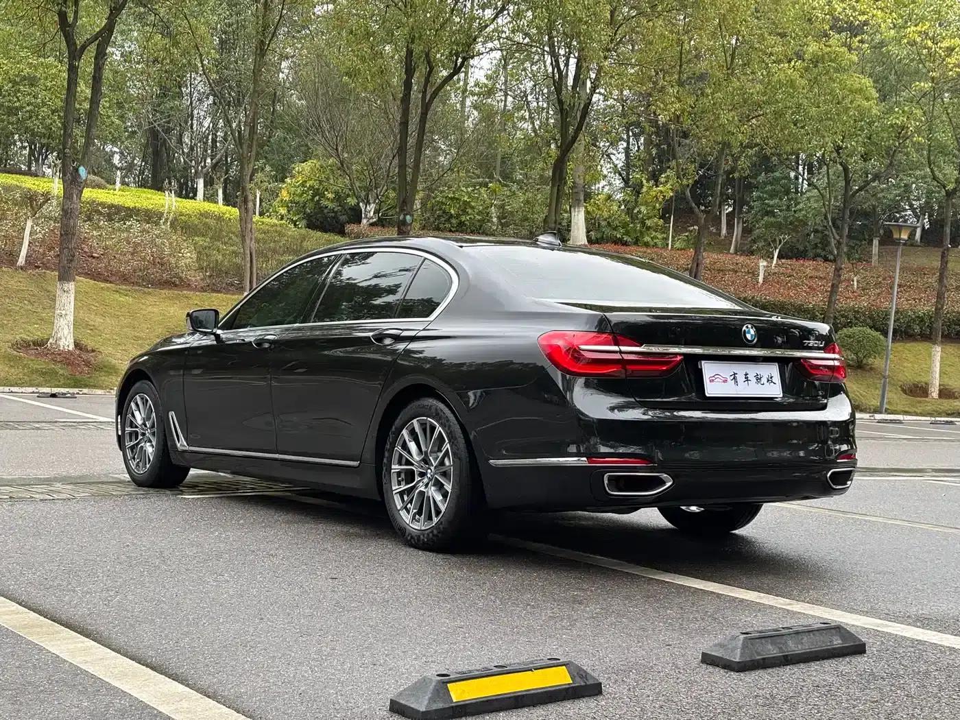 2016 BMW 7 Series 730Li Luxury — миниатюра 7