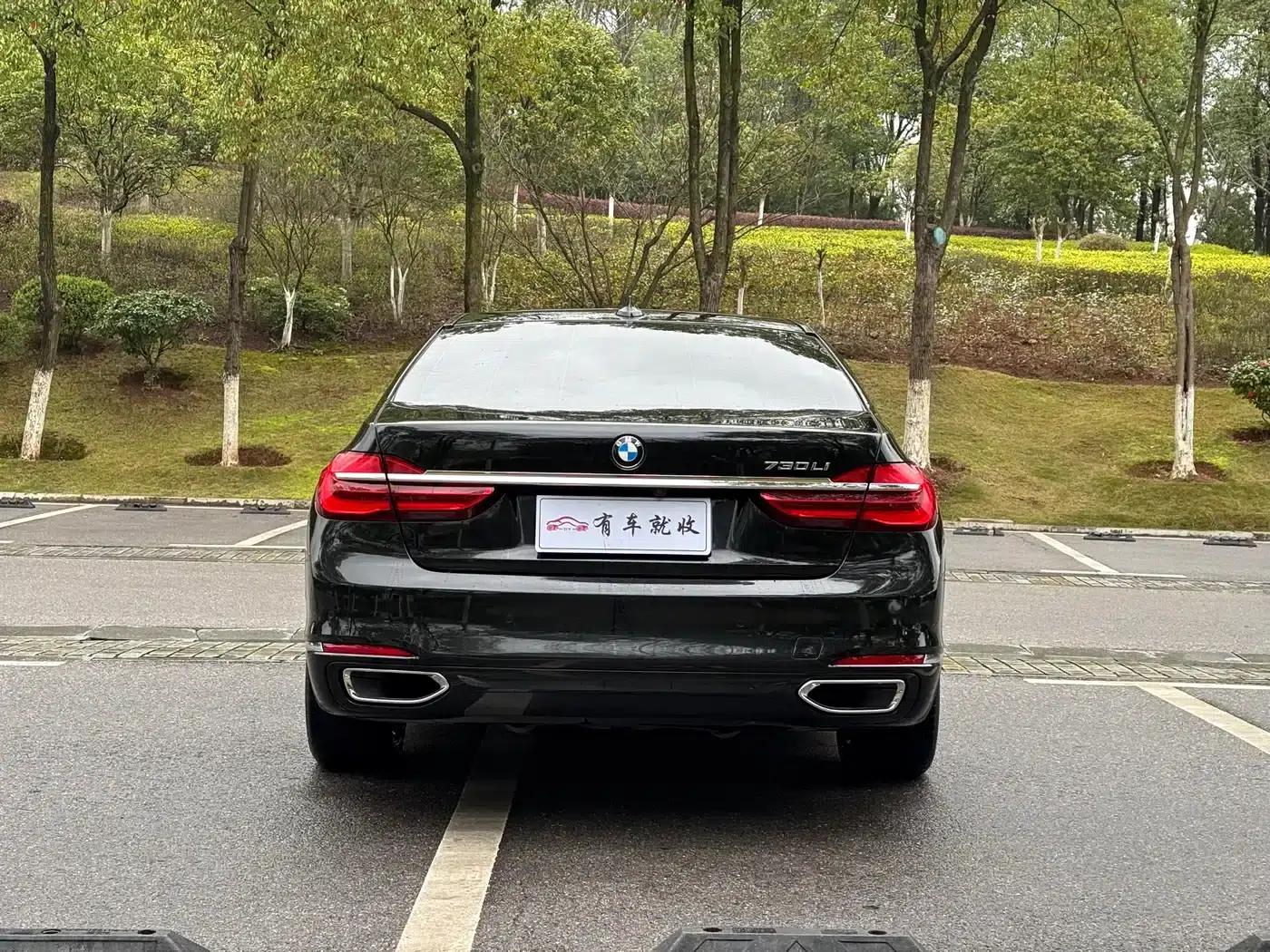 2016 BMW 7 Series 730Li Luxury — миниатюра 8