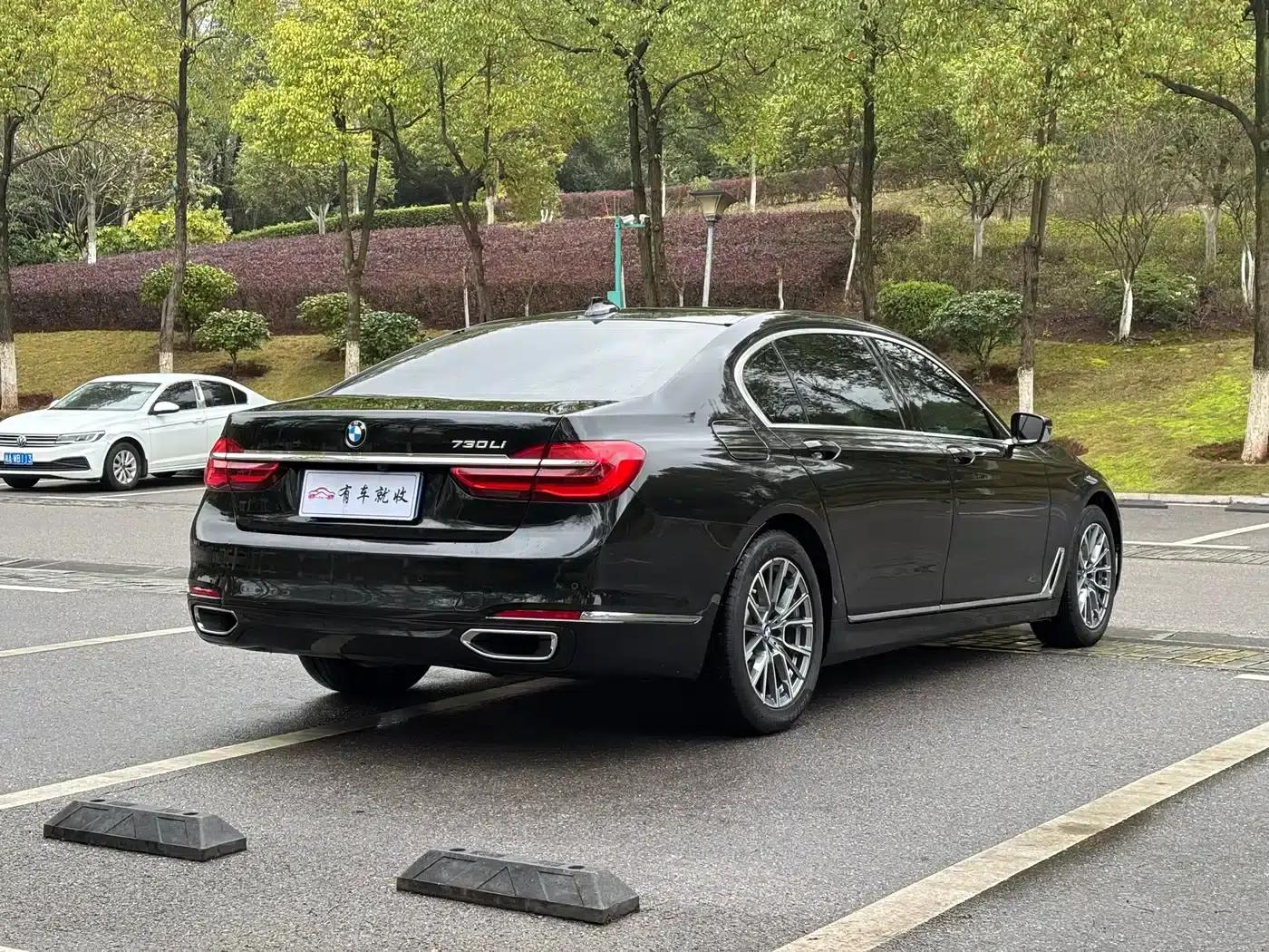 2016 BMW 7 Series 730Li Luxury — миниатюра 9