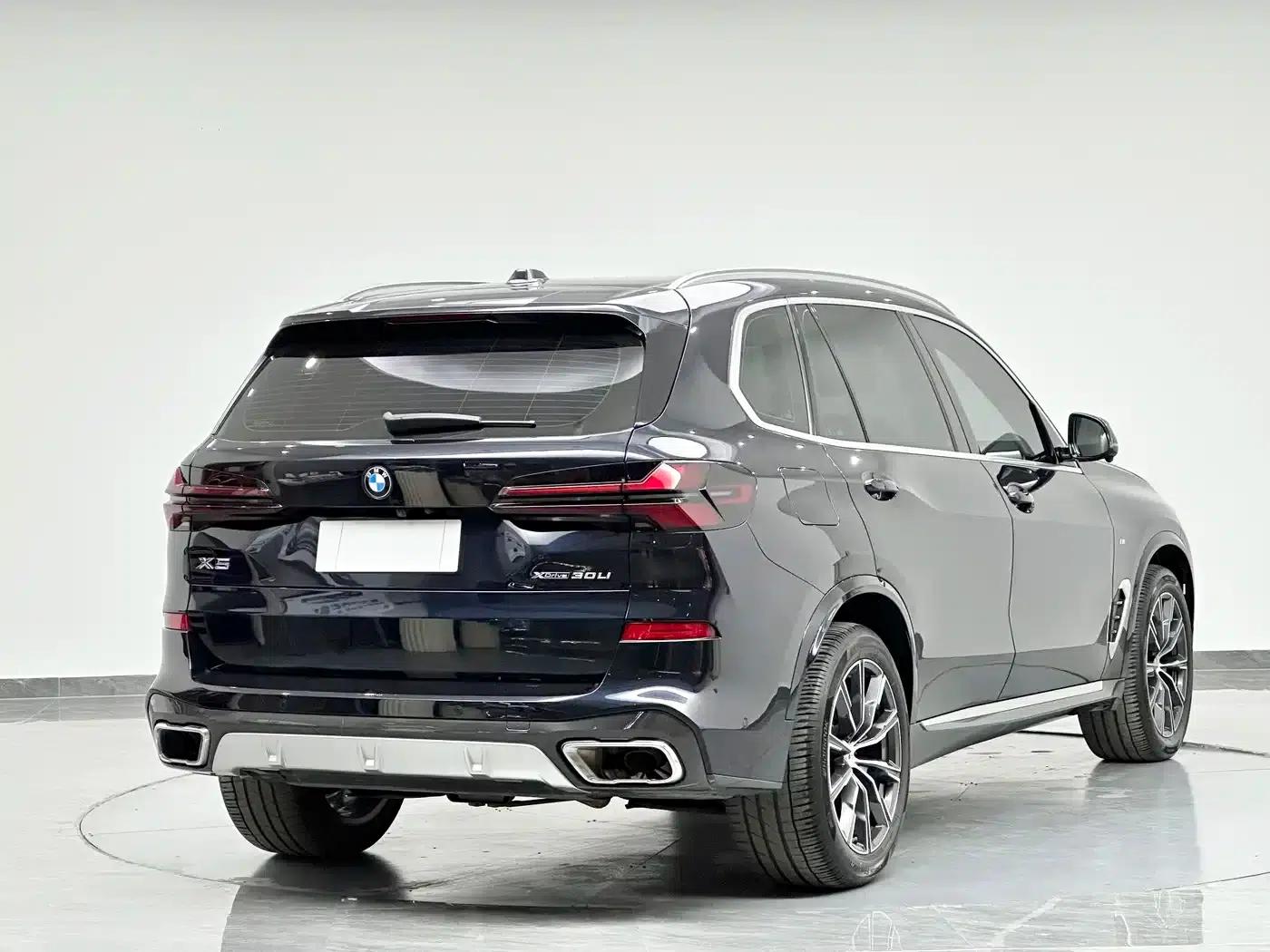 BMW X5 2023 xDrive 30Li M Sport Package — миниатюра 8