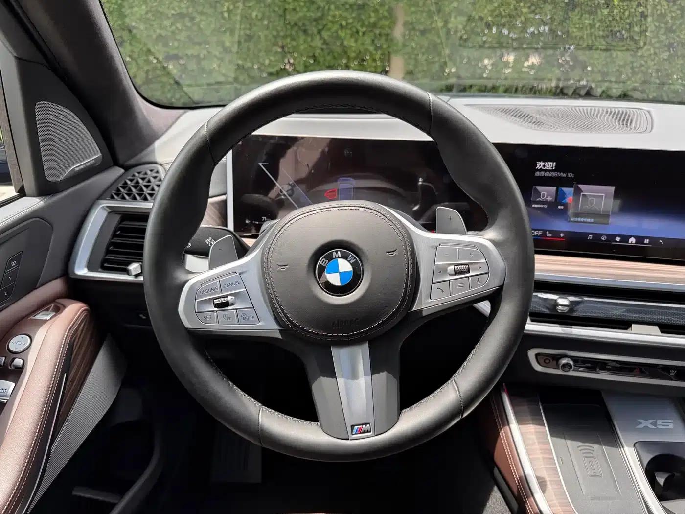 BMW X5 2025 xDrive 40Li M Sport Shadow Edition — миниатюра 12