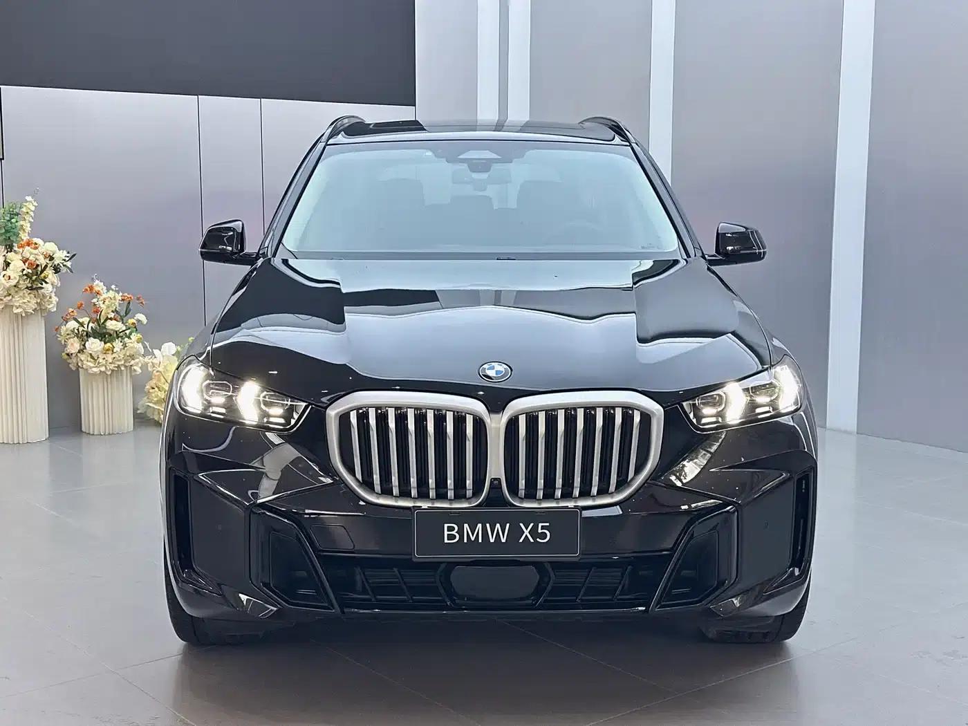 BMW X5 2023 xDrive 30Li M Sport Shadow Edition — миниатюра 2