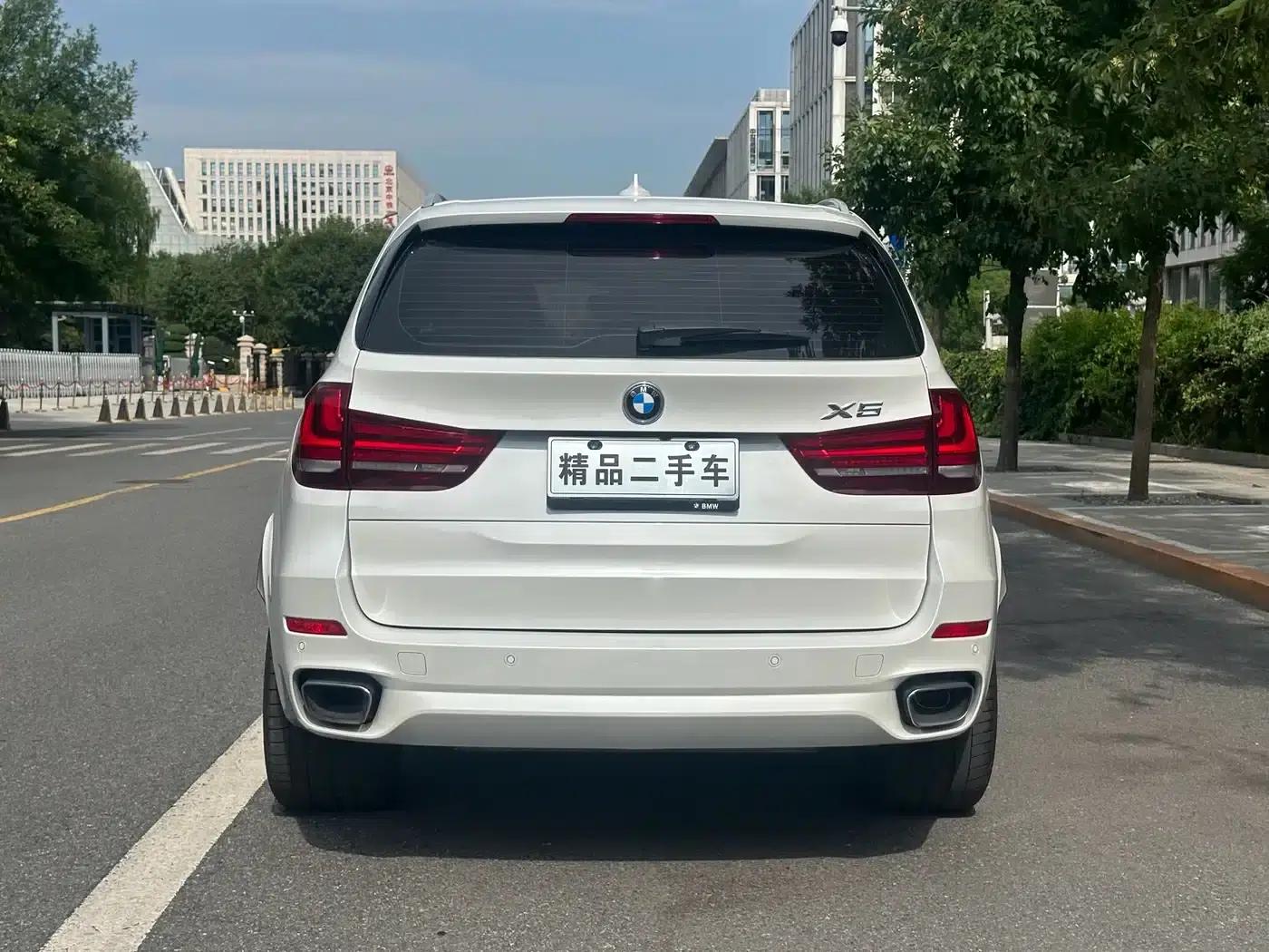 2017 BMW X5 xDrive35i M Luxury Sport (Imported) — миниатюра 6