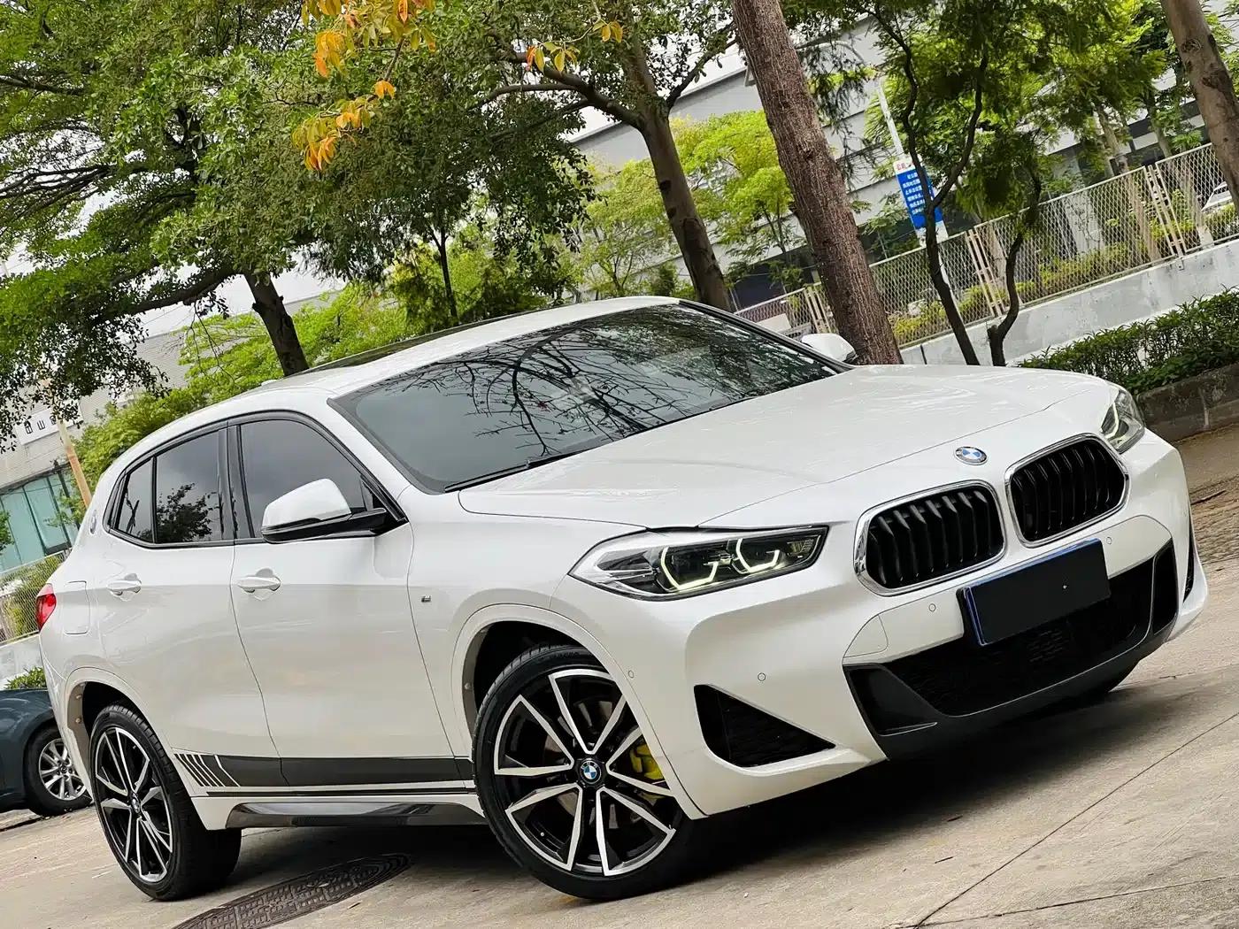 BMW X2 2020 sDrive25i Luxury M Sport Package — миниатюра 4