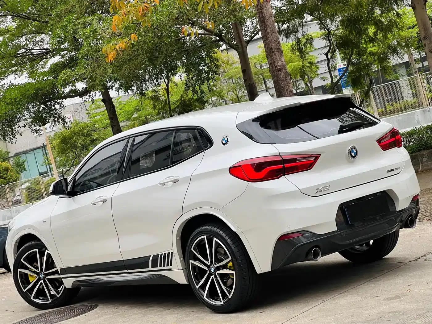 BMW X2 2020 sDrive25i Luxury M Sport Package — миниатюра 8