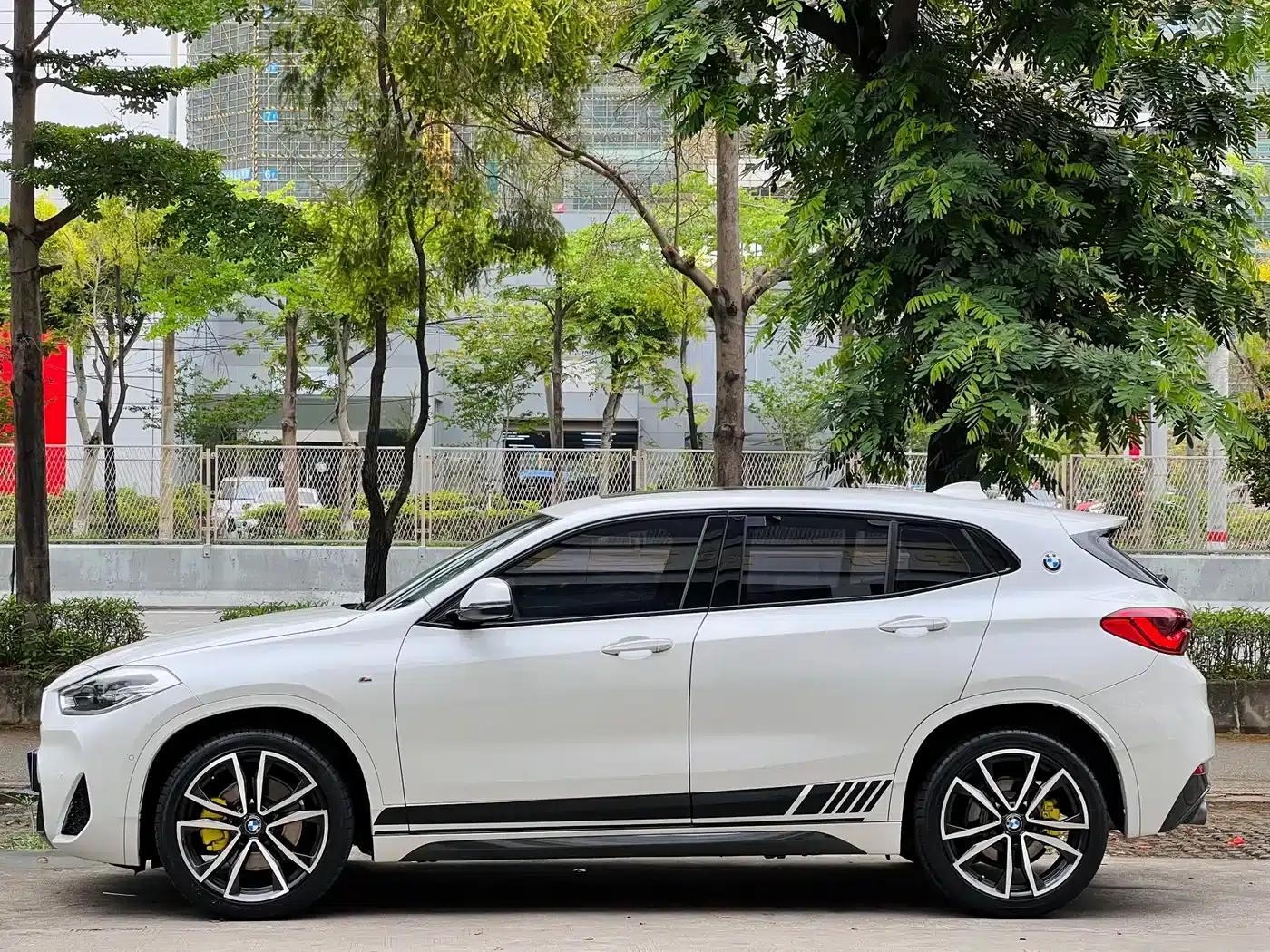 BMW X2 2020 sDrive25i Luxury M Sport Package — миниатюра 9