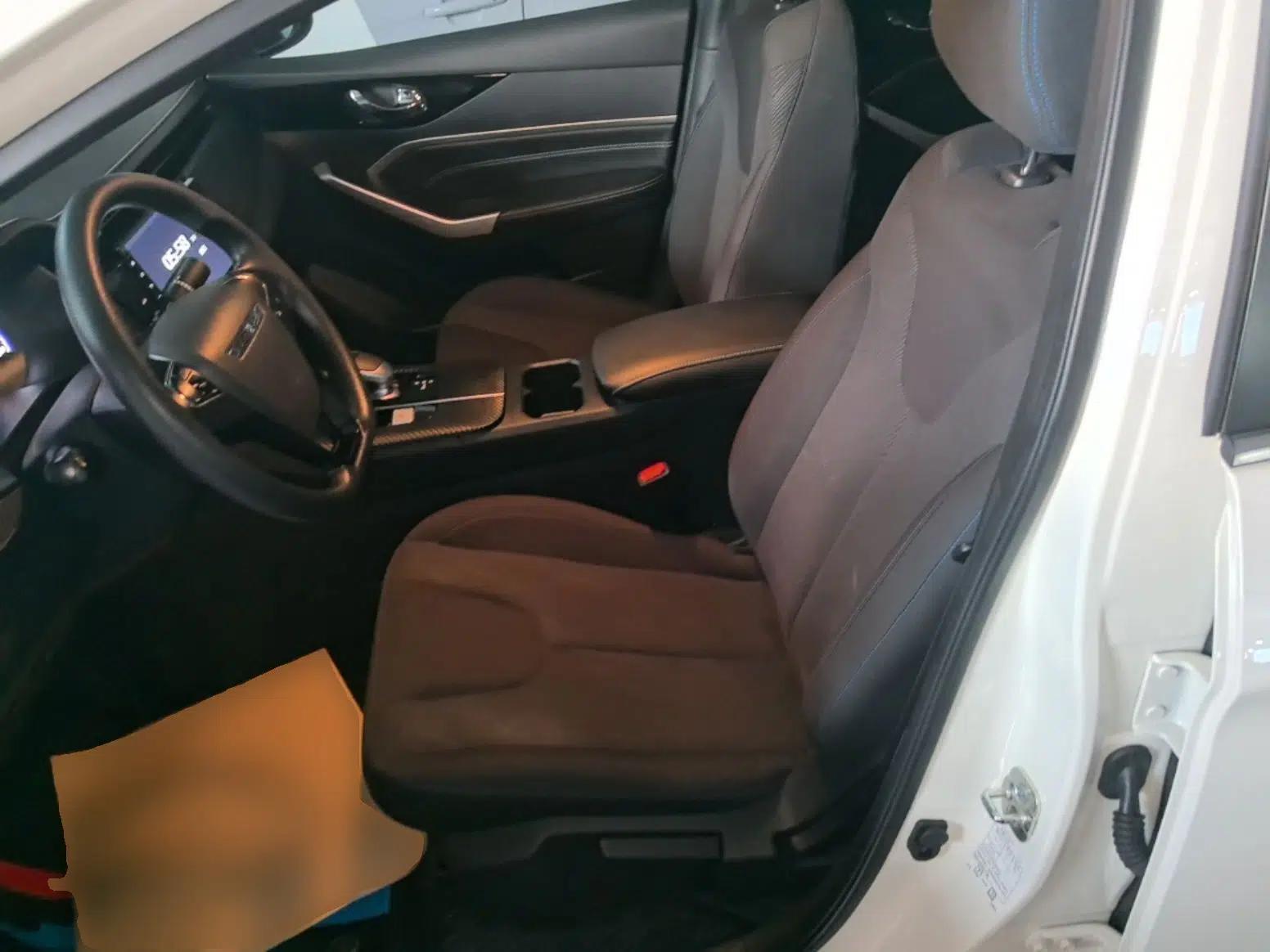 Venucia D60EV 2023 PLUS Comfort Edition RJ Model — миниатюра 17