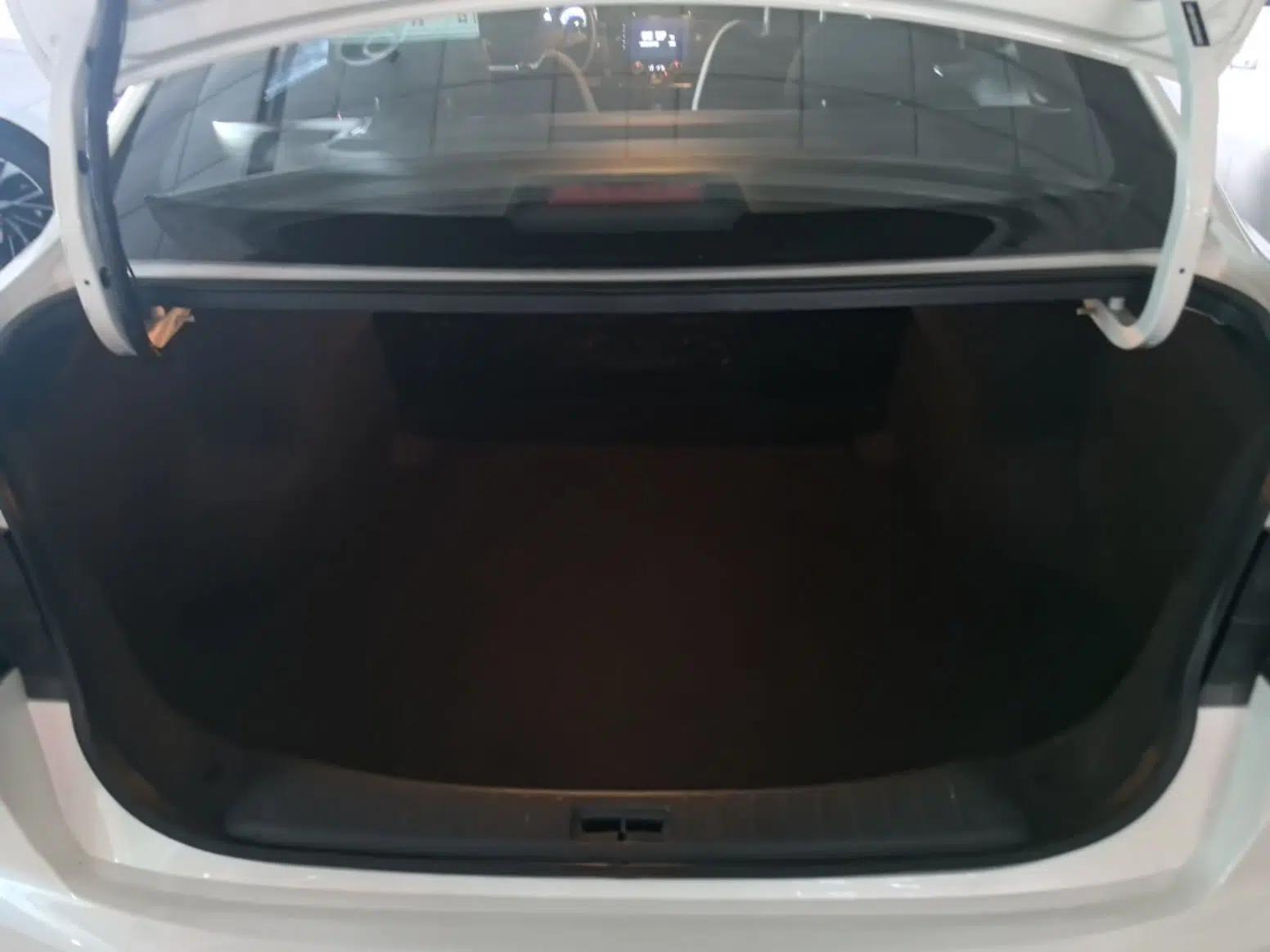 Venucia D60EV 2023 PLUS Comfort Edition RJ Model — миниатюра 22
