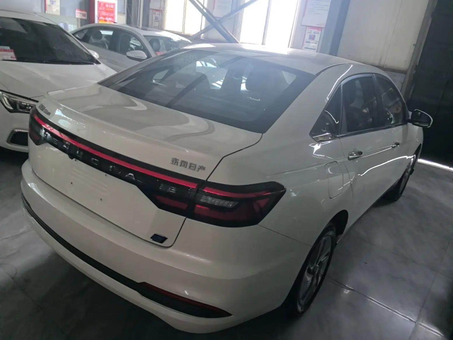 Venucia D60EV 2023 PLUS Comfort Edition RJ Model — миниатюра 6