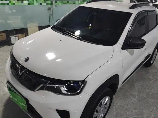 Venucia e30 2021 Elite Edition