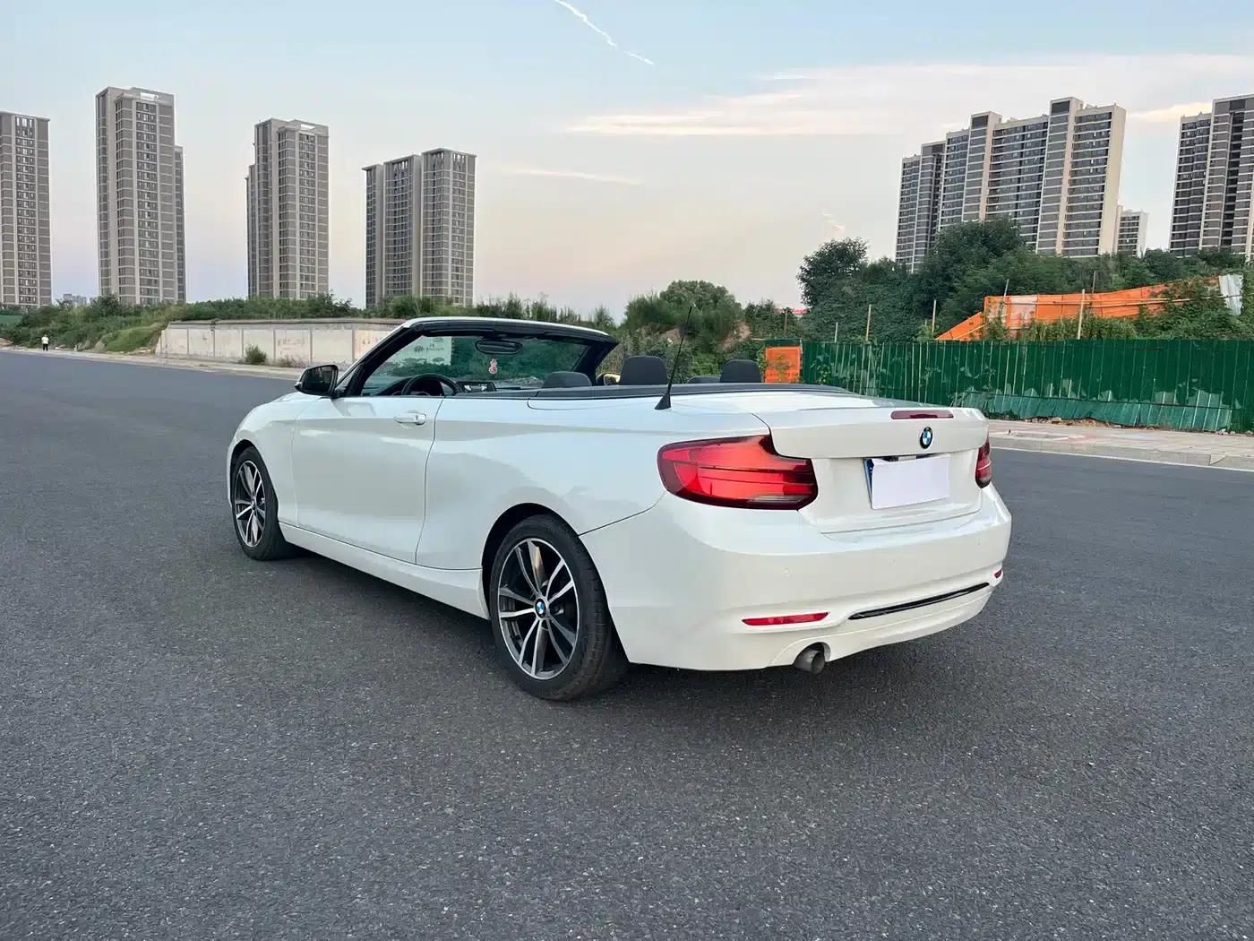 2018 BMW 2 Series Imported 220i Convertible Coupe with Sport Design Package — миниатюра 15