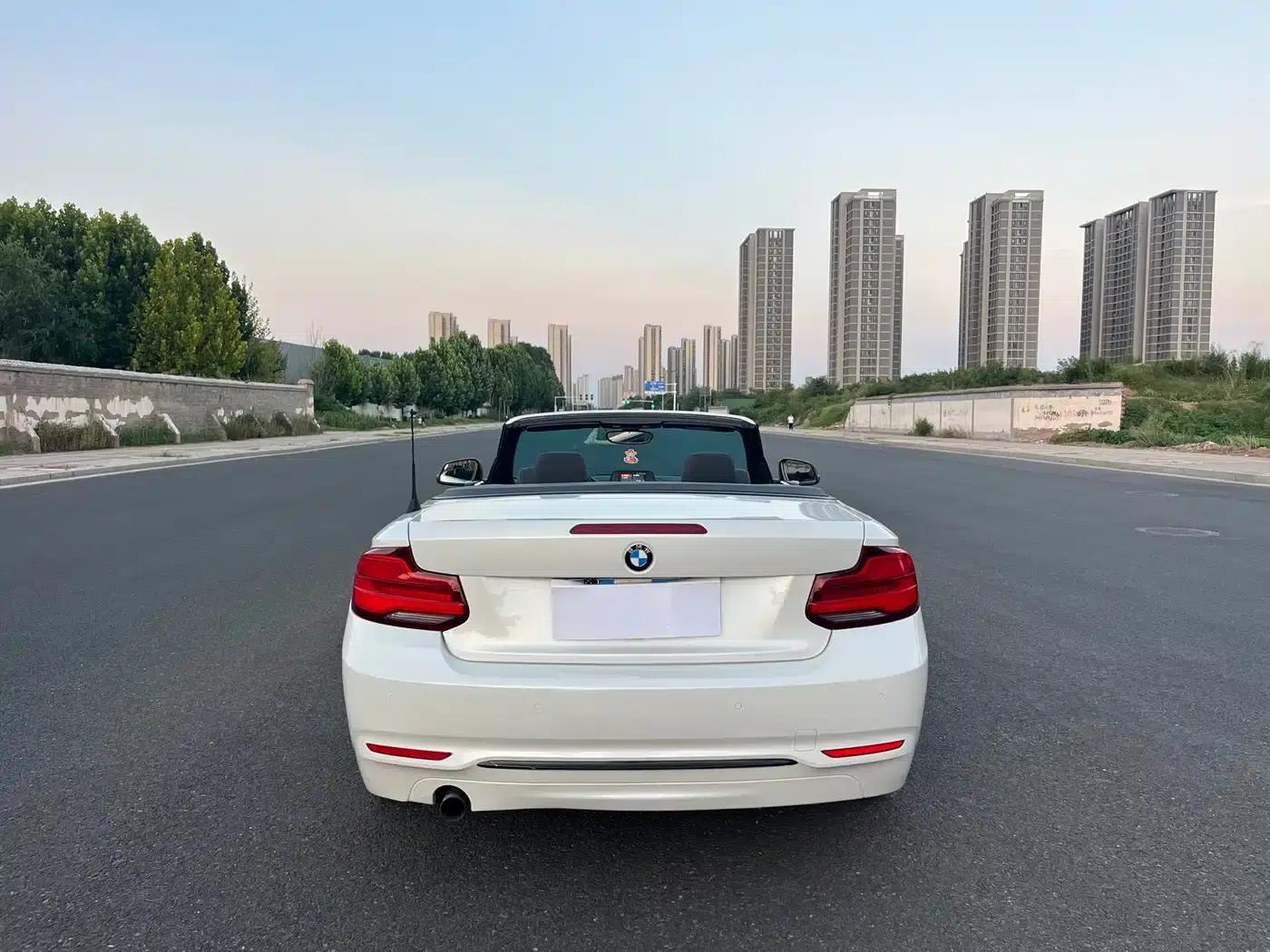 2018 BMW 2 Series Imported 220i Convertible Coupe with Sport Design Package — миниатюра 16