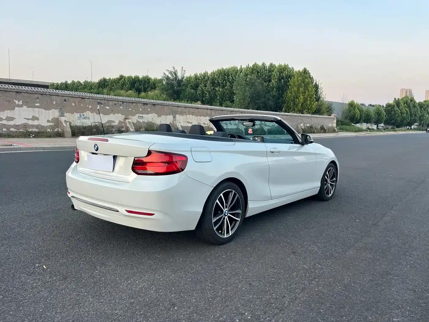 2018 BMW 2 Series Imported 220i Convertible Coupe with Sport Design Package — миниатюра 17
