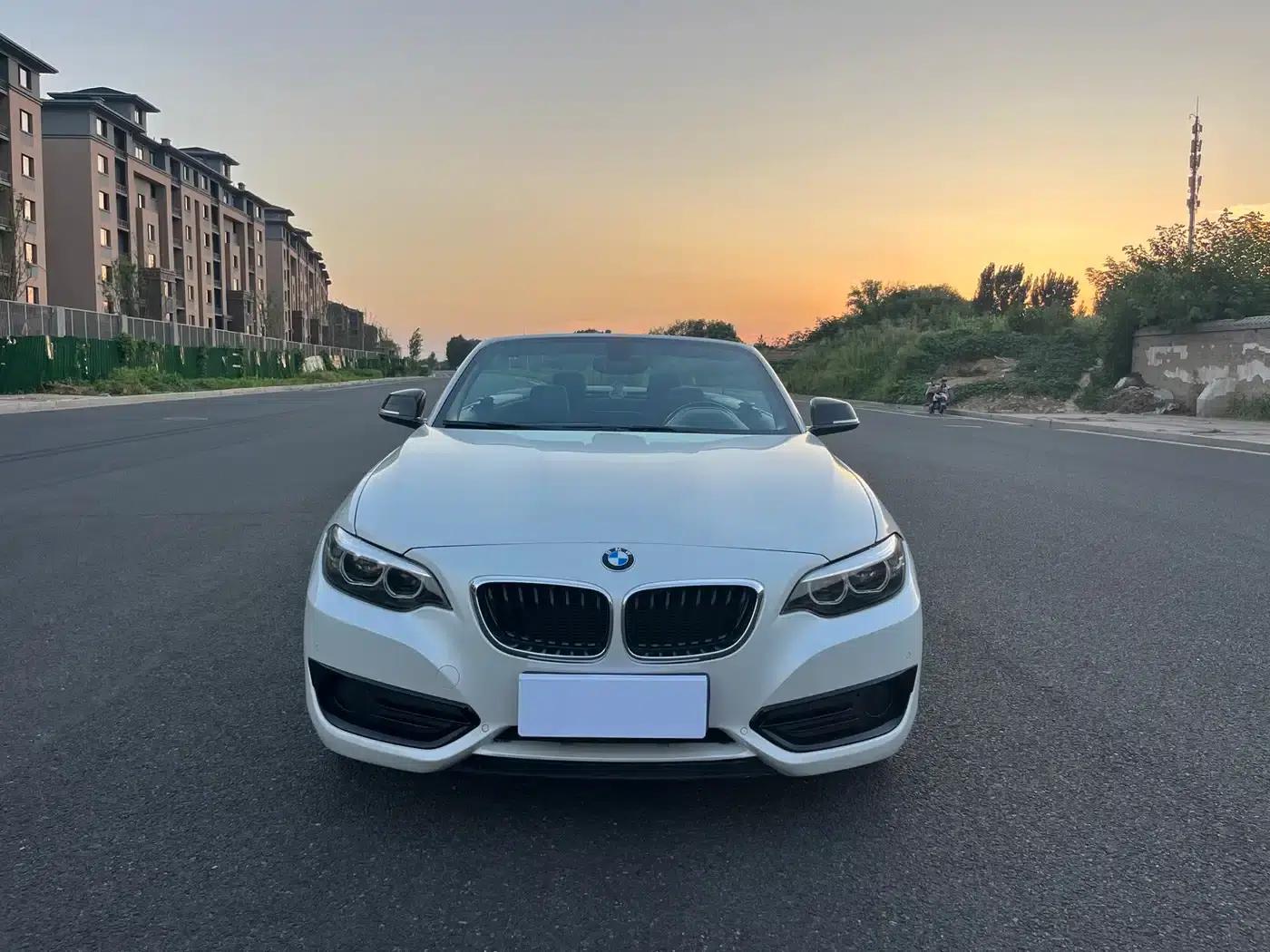 2018 BMW 2 Series Imported 220i Convertible Coupe with Sport Design Package — миниатюра 18