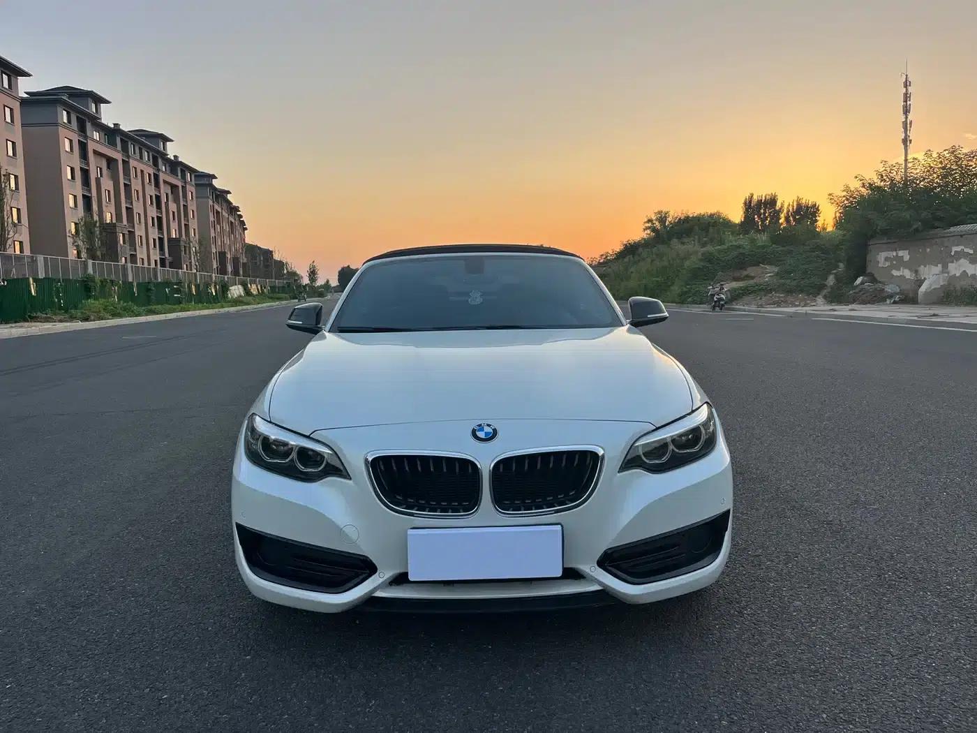 2018 BMW 2 Series Imported 220i Convertible Coupe with Sport Design Package — миниатюра 19