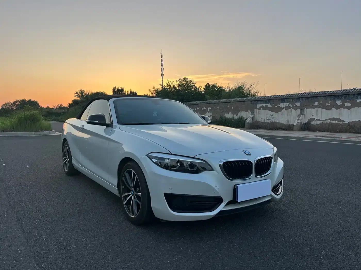 2018 BMW 2 Series Imported 220i Convertible Coupe with Sport Design Package — миниатюра 20