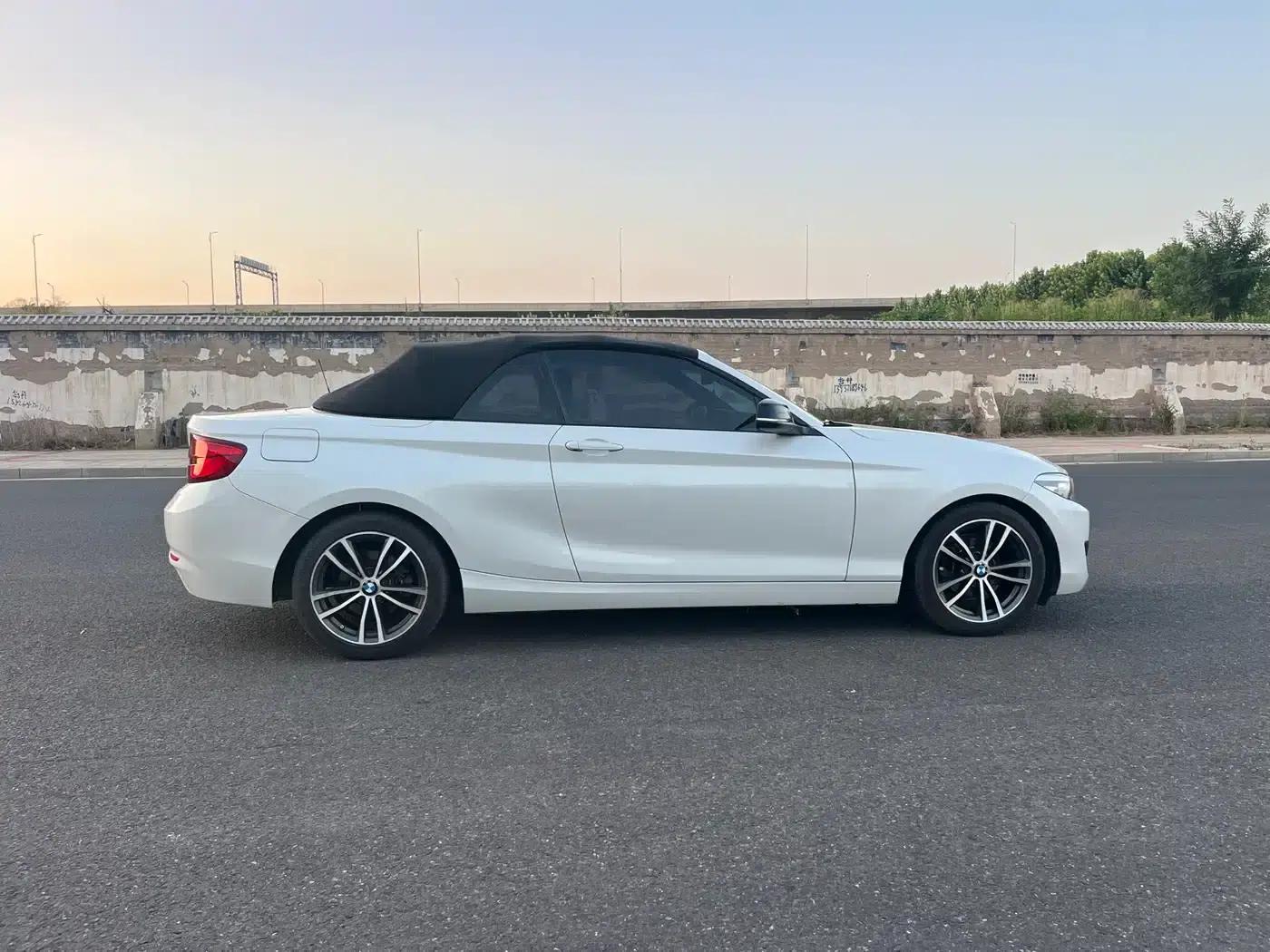 2018 BMW 2 Series Imported 220i Convertible Coupe with Sport Design Package — миниатюра 22