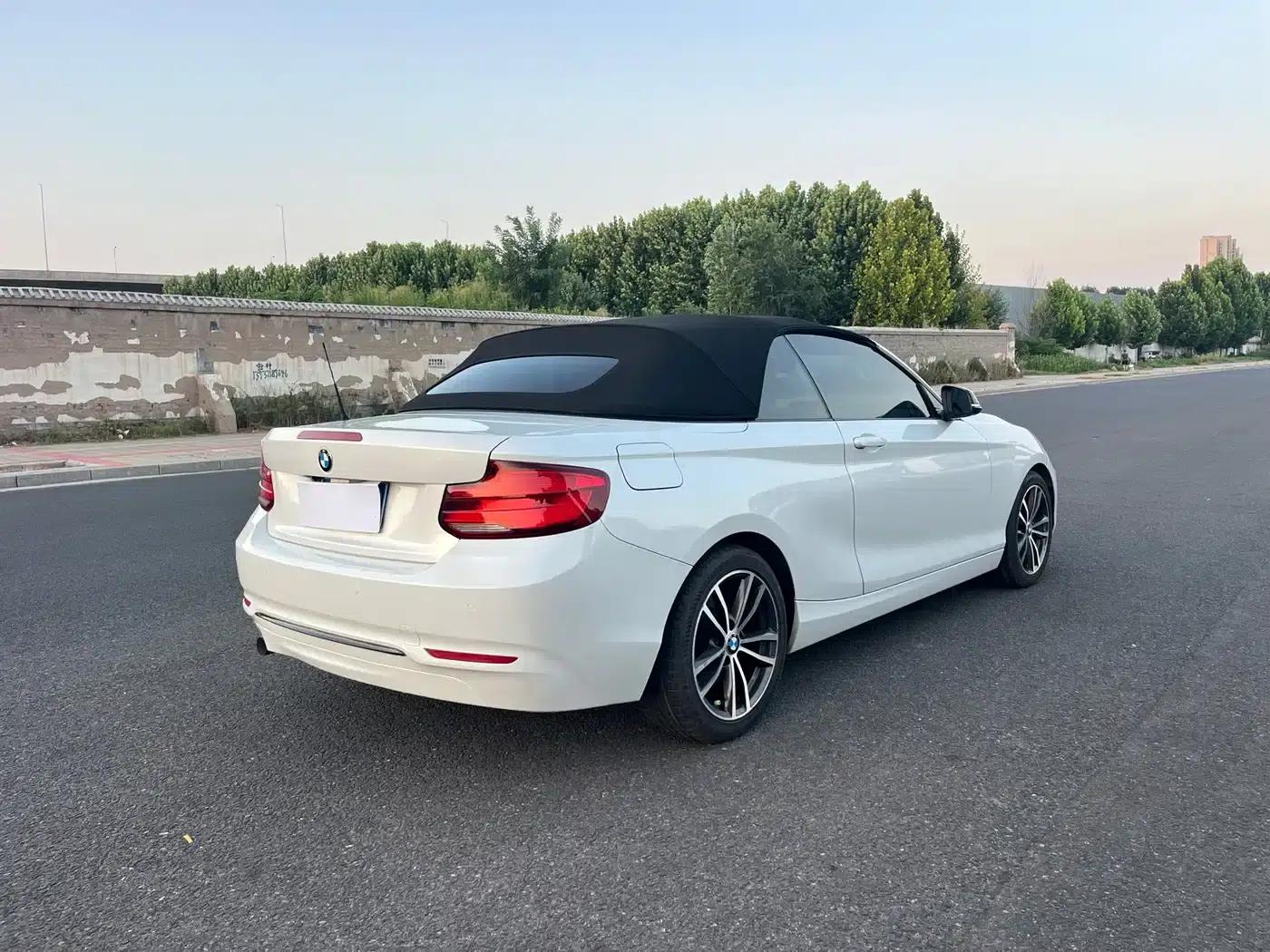 2018 BMW 2 Series Imported 220i Convertible Coupe with Sport Design Package — миниатюра 5