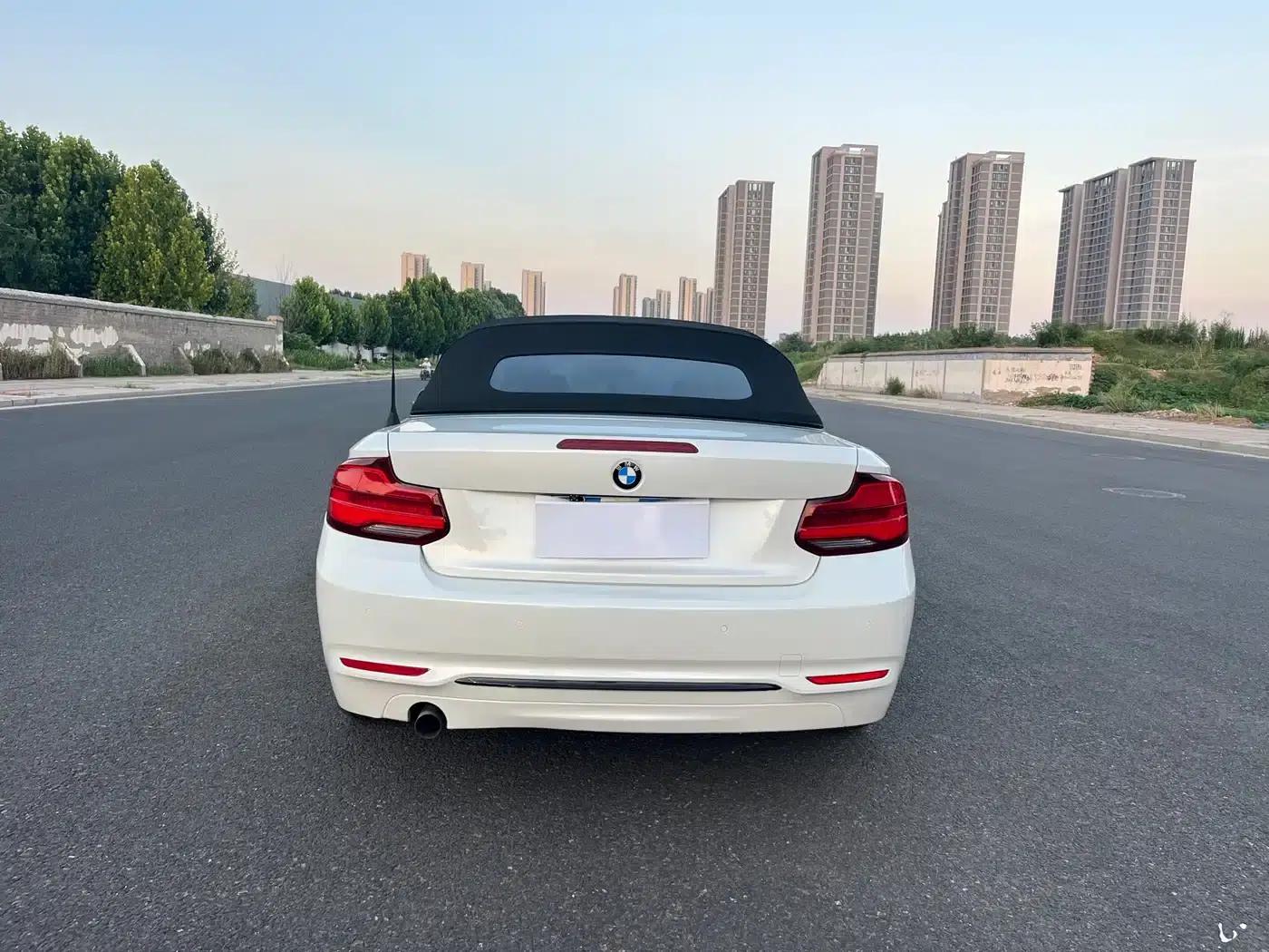 2018 BMW 2 Series Imported 220i Convertible Coupe with Sport Design Package — миниатюра 6