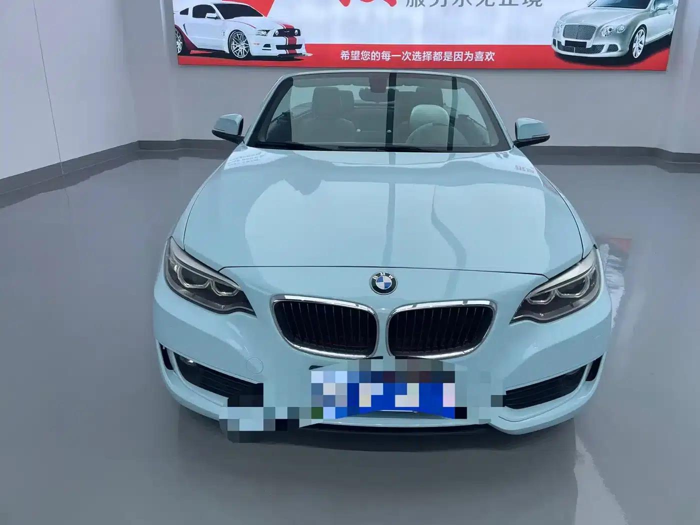 2015 BMW 2 Series (Imported) 218i Convertible Coupe — миниатюра 2