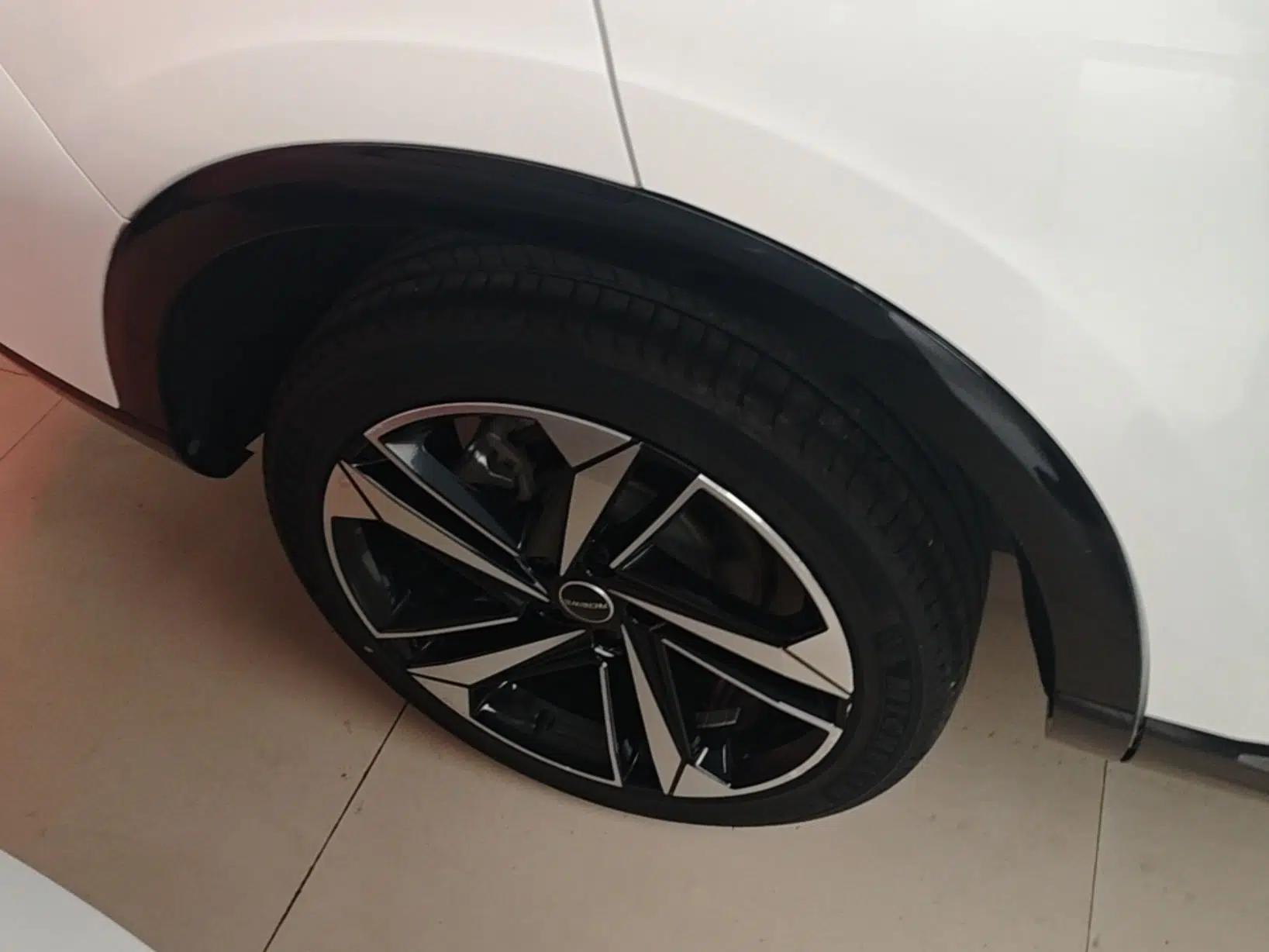 Roewe RX5 MAX 2022 1.5T Automatic Zhiwei Prestige Edition — миниатюра 11