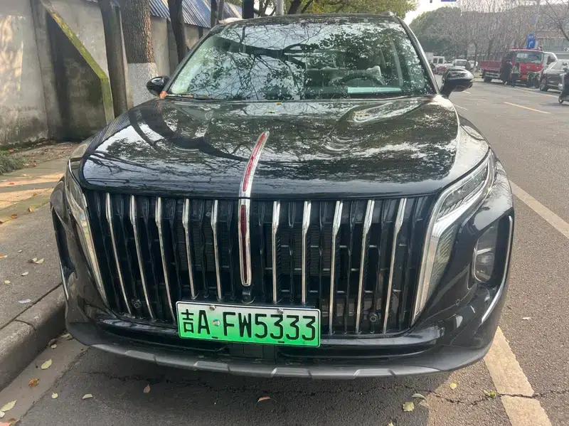 Hongqi HS7 PHEV 2025 Facelift 2.0T Two-Wheel Drive Flagship Edition 7-Seater — миниатюра 2