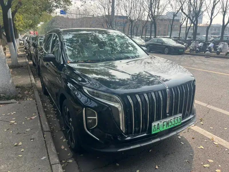 Hongqi HS7 PHEV 2025 Facelift 2.0T Two-Wheel Drive Flagship Edition 7-Seater — миниатюра 3