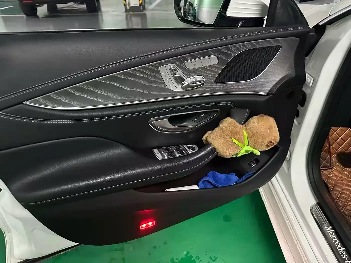 Mercedes-Benz CLS 2020 CLS 300 Dynamic — миниатюра 6