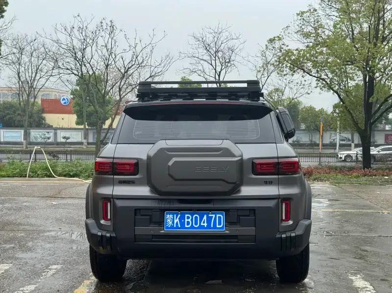 2025 Cowboy 1.5TD Wild Edition — миниатюра 4
