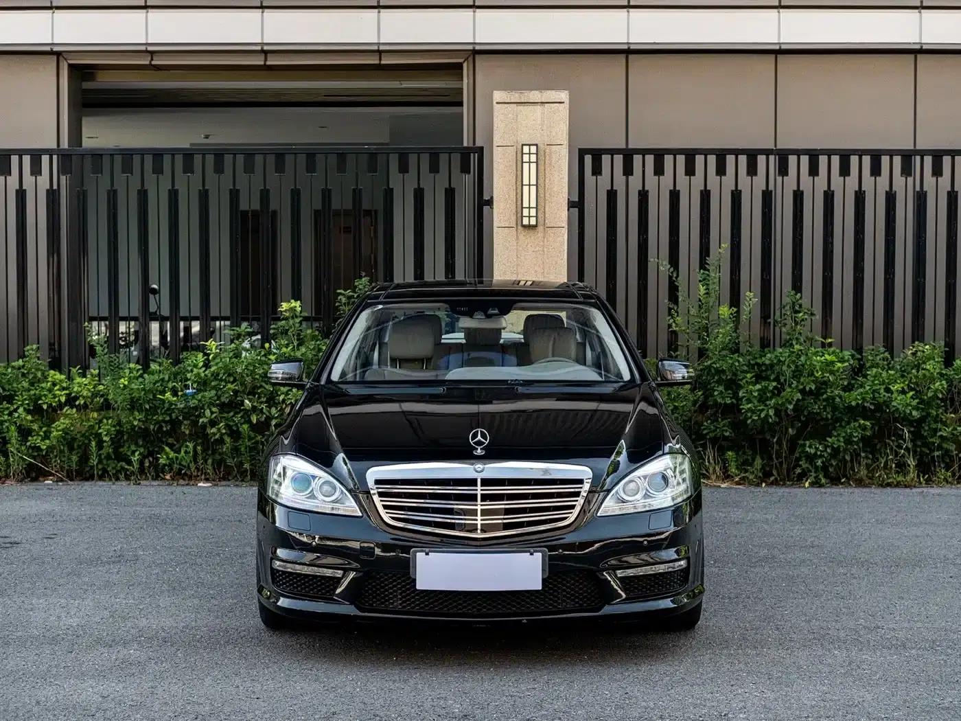 2010 Mercedes-Benz S-Class AMG S 65 — миниатюра 2