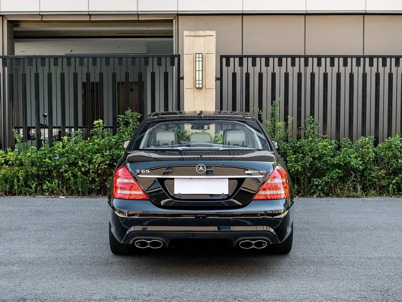 2010 Mercedes-Benz S-Class AMG S 65 — миниатюра 5