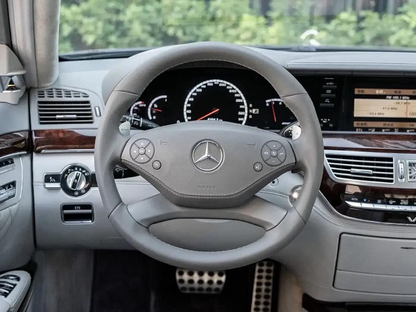 2010 Mercedes-Benz S-Class AMG S 65 — миниатюра 8