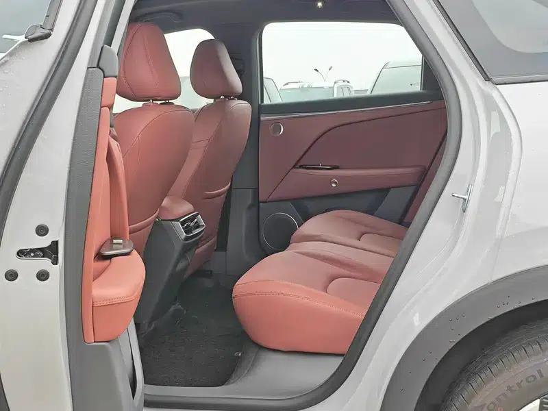 Jihu Alphard T5 2026 Range Extended Edition 1215 Enjoy Edition — миниатюра 22