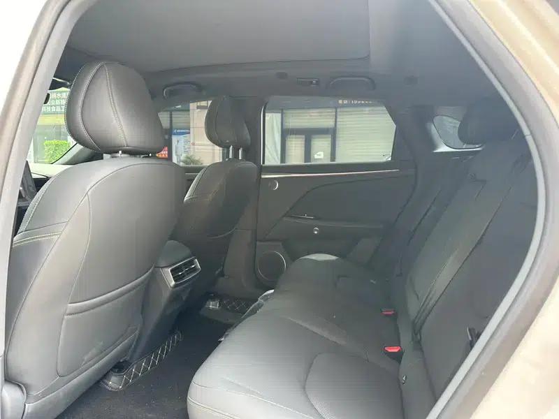 Jihu Alphard T5 2026 Range Extended Edition 1215 Yuanjing Smart Edition — миниатюра 9