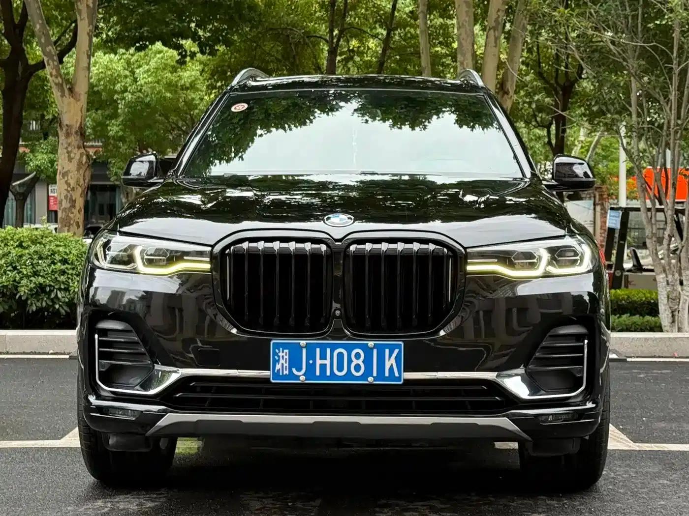 BMW X7 2019 xDrive40i Leading Luxury Package — миниатюра 2
