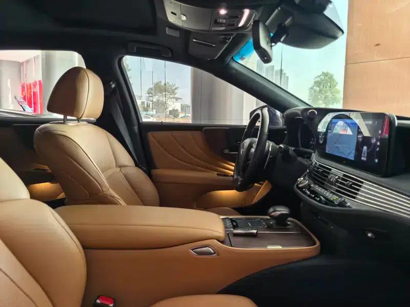 Lexus LS 2020 500h Premium Edition (China VI Emission Standard) — миниатюра 9